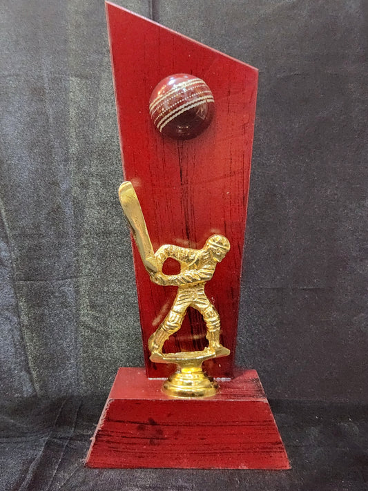 BATSMAN TROPHY  A2 (METAL)