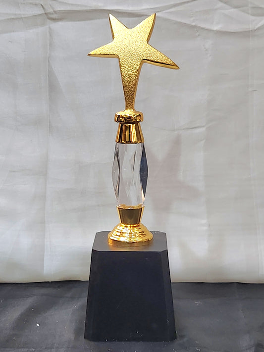 STAR TROPHY A2 (METAL)