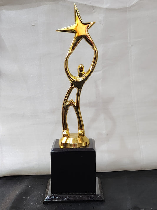 STAR TROPHY A3 (METAL)