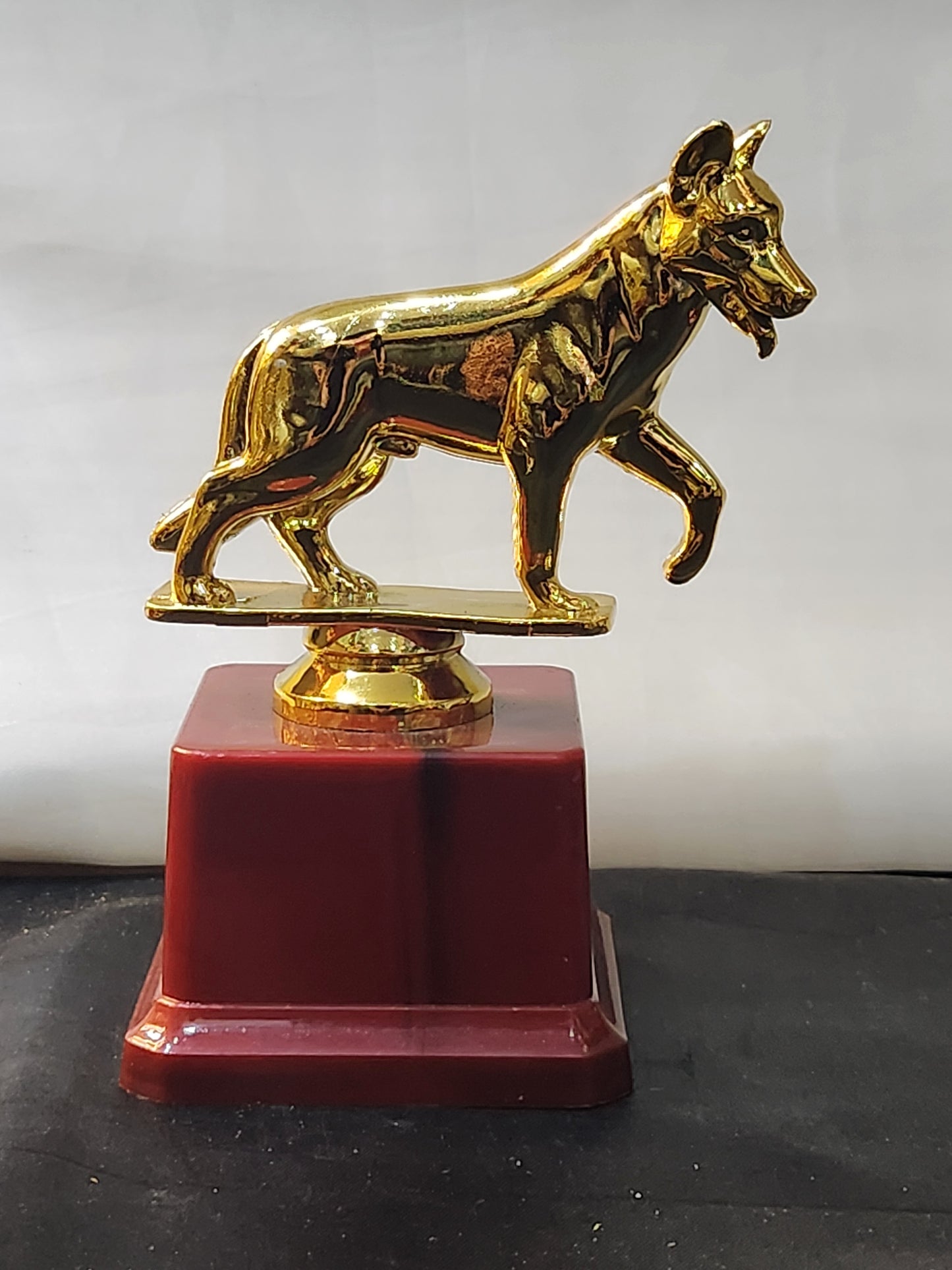 Dog trophy with a golden finish