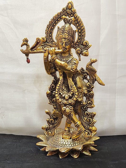 MURLI KRISHNA   (METAL)